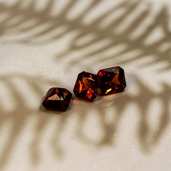 Drop earrings close up