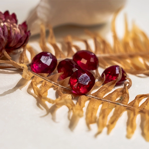 Jewellery collection flat lay